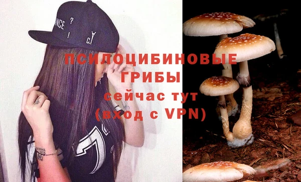 хмурый Алексеевка